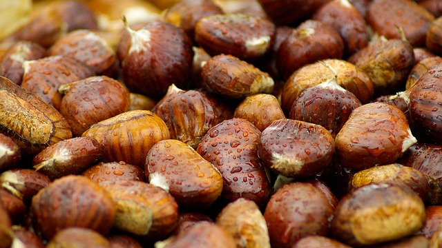 Can You Eat Chestnuts on a Keto Diet