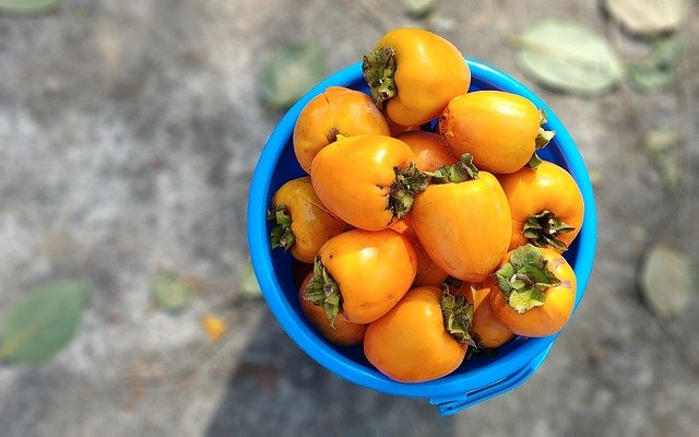 Is Persimmon Good for Keto Diet
