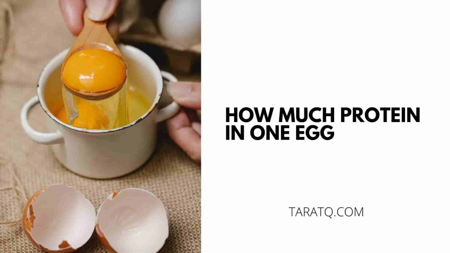 How Much Protein In One Egg TaraTQ   56s Min 1536x864 